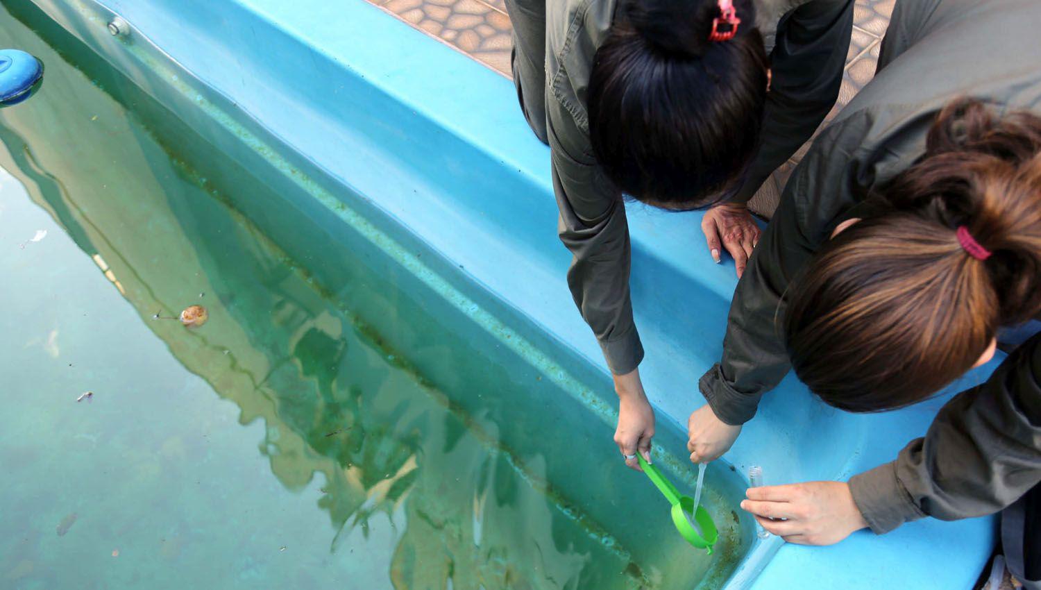 Chikungunya- siacutentomas y secuelas de la enfermedad
