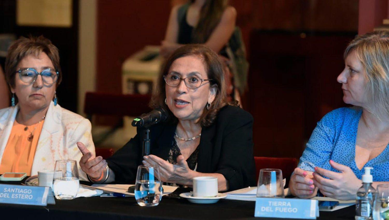 La Lic Natividad Nassif participoacute de la reunioacuten del Consejo Federal de Salud