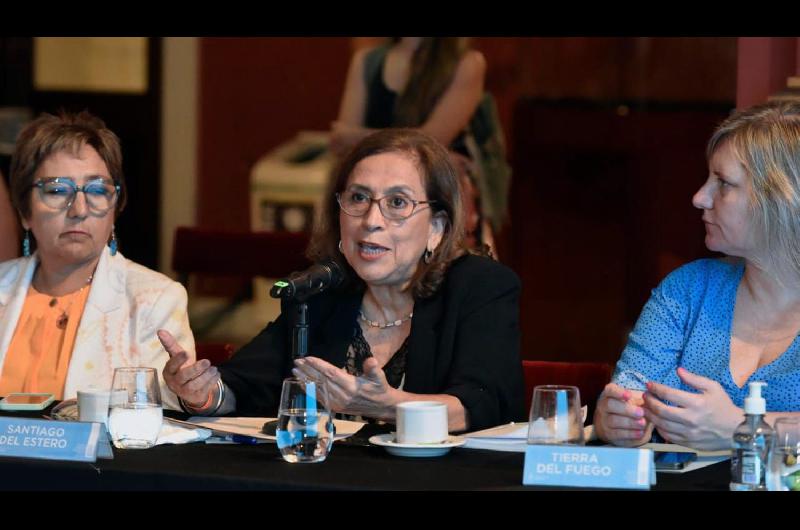 La Lic Natividad Nassif participoacute de la reunioacuten del Consejo Federal de Salud