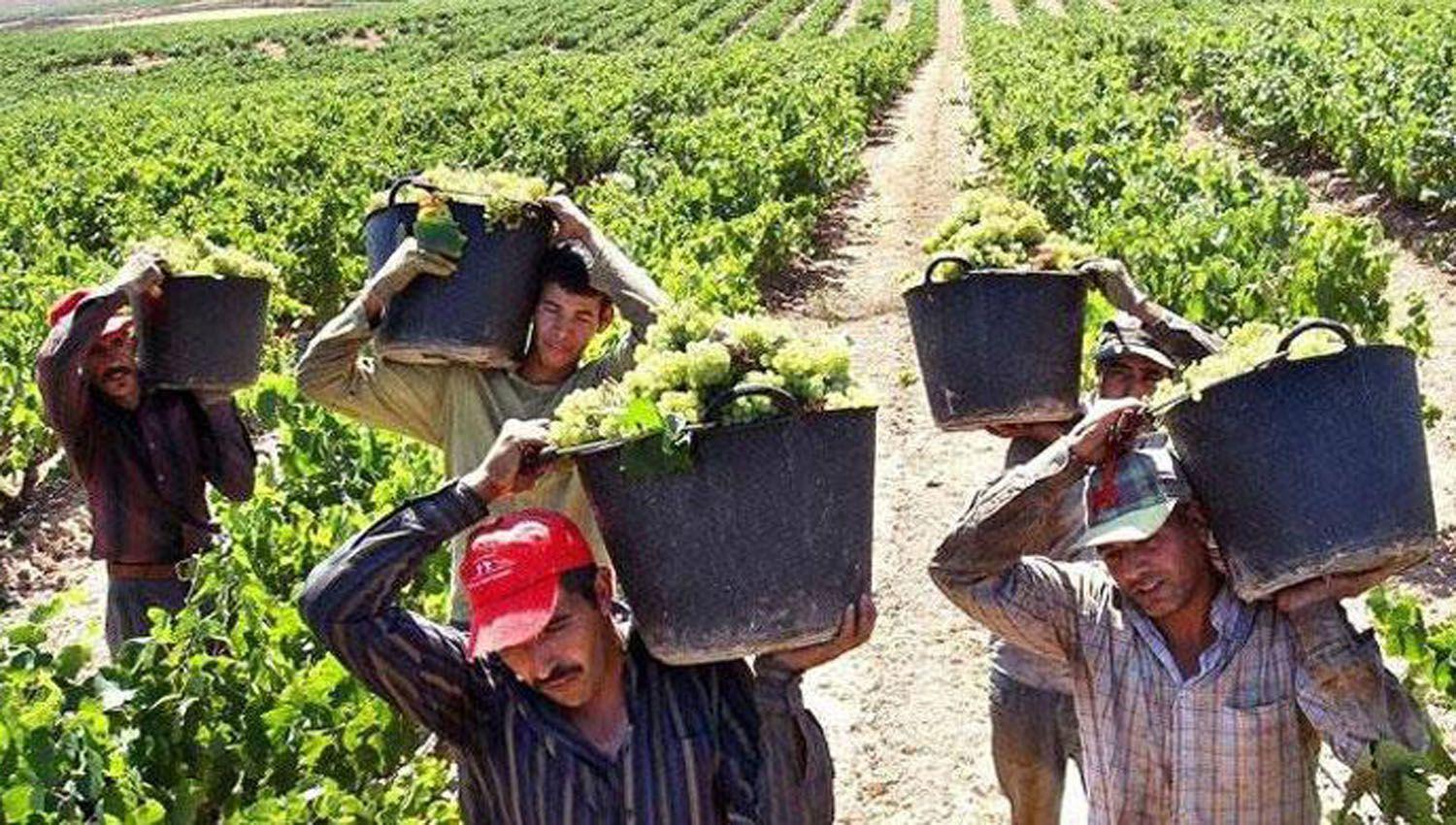 Renatre- existen 23651 trabajadores rurales en Santiago del Estero