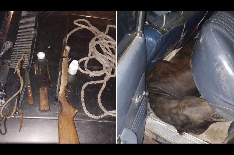 Increiacuteble- robaron una vaca en un campo y la llevaron en un Falcon