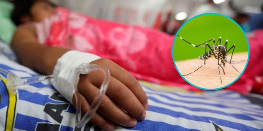 Dengue en la provincia- preocupa la cantidad de nintildeos que son asistidos con los siacutentomas