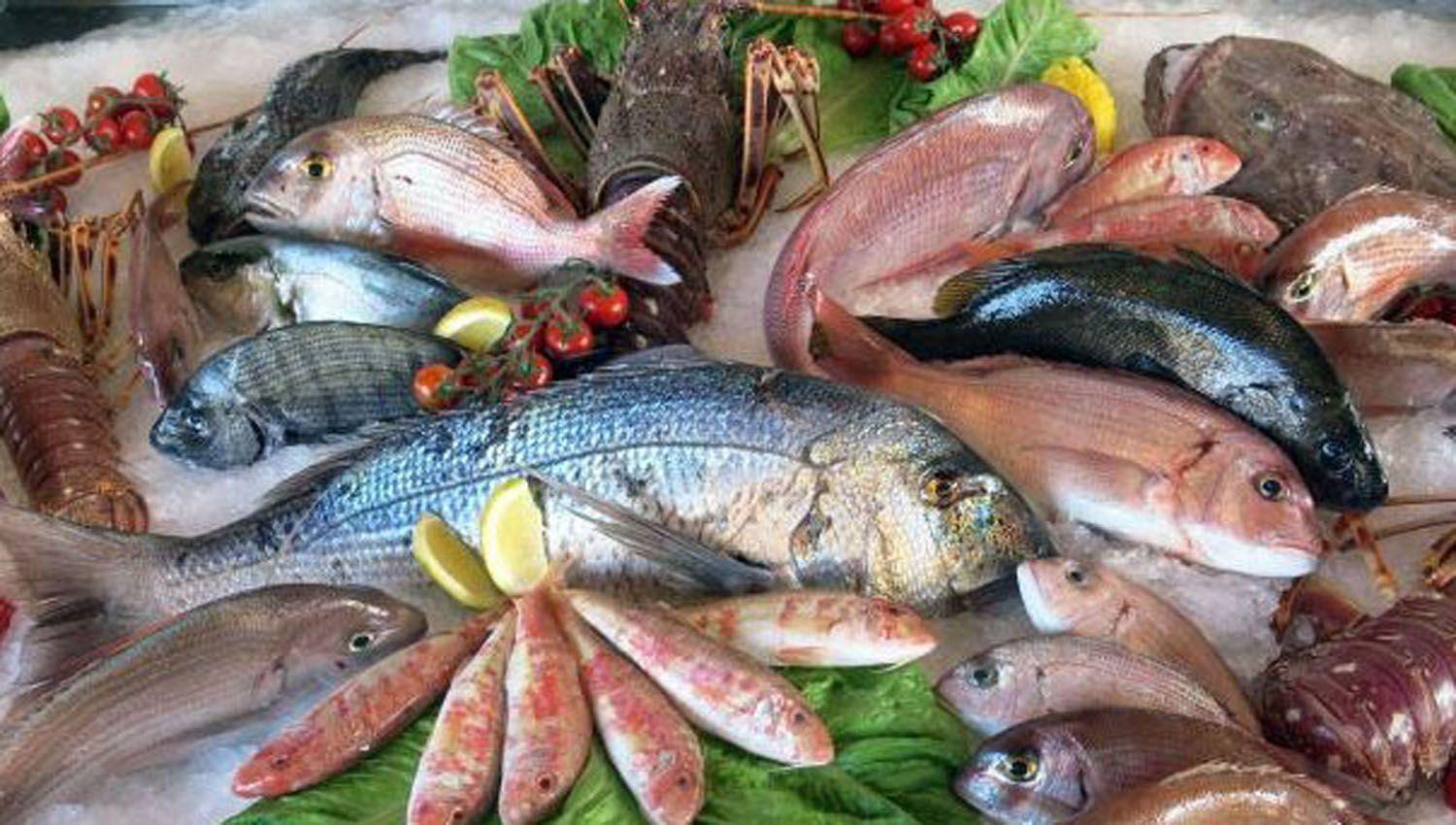 Brindan pautas sobre el consumo de pescado por la Semana Santa