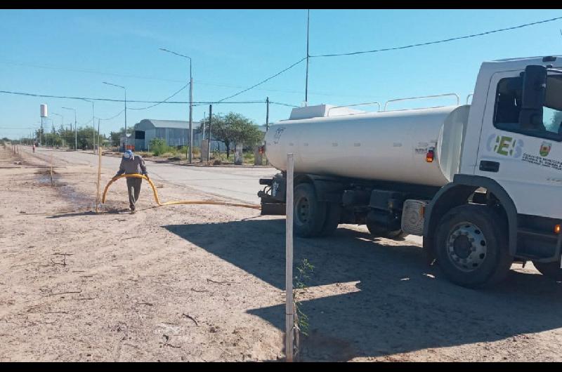 Colonia El Simbolar refuerza el plan de reforestacioacuten urbana