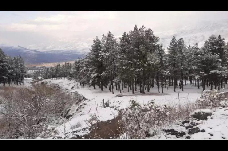 FOTOS Y VIDEO  Tafiacute del Valle amanecioacute cubierto por nieve