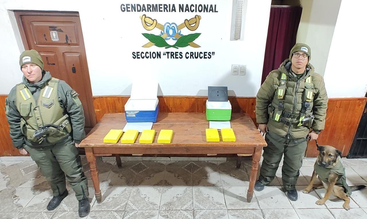 Canes antinarcoacuteticos alertaron sobre droga escondida en un bolso y dos conservadoras- maacutes de 8 kilos de cocaiacutena