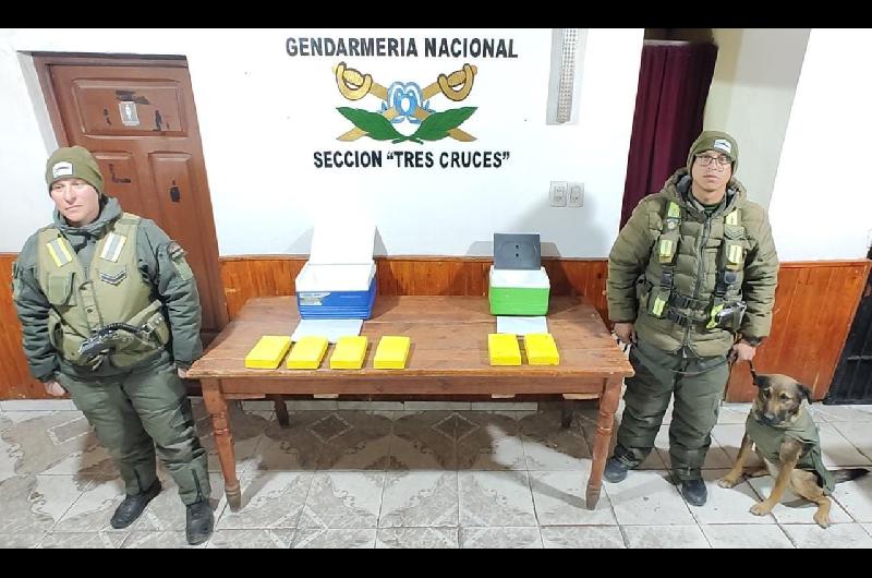 Canes antinarcoacuteticos alertaron sobre droga escondida en un bolso y dos conservadoras- maacutes de 8 kilos de cocaiacutena