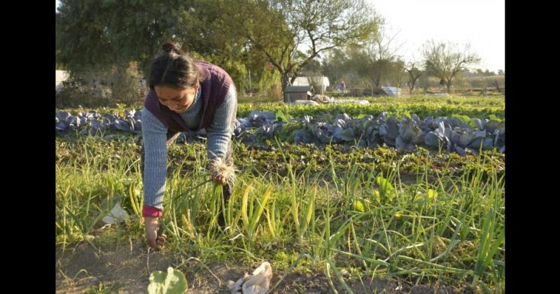 OBJETIVO Para personas comprometidas con la producción saludable