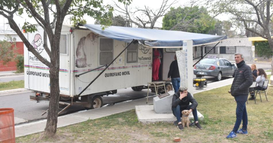 La campantildea de castracioacuten gratuita de mascotas se haraacute en el Bordm 25 de Mayo