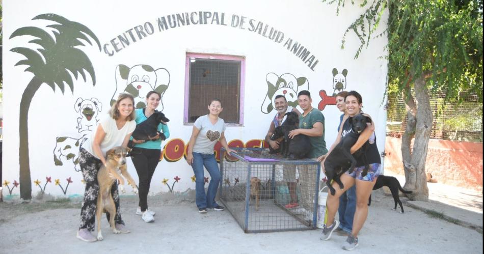 Hoy comienza una nueva semana de la campantildea termense de castracioacuten