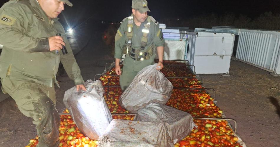 No eran tomacos- decomisan maacutes de 400 kilos de coca camuflados entre tomates