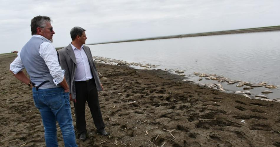 Toman muestras para determinar el origen del pulso contaminante en el Riacuteo Saliacute