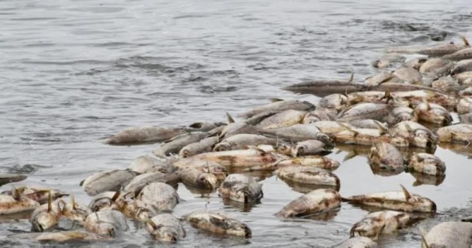 Unidos por el lago- convocan a reunioacuten para exigir el cese de la contaminacioacuten