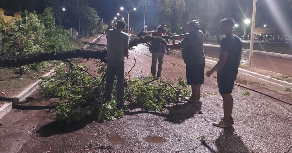 Una fuerte tormenta provocoacute caiacuteda de  aacuterboles y postes de Sumampa