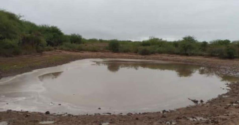 La lluvia trajo alivio en el interior del departamento Choya