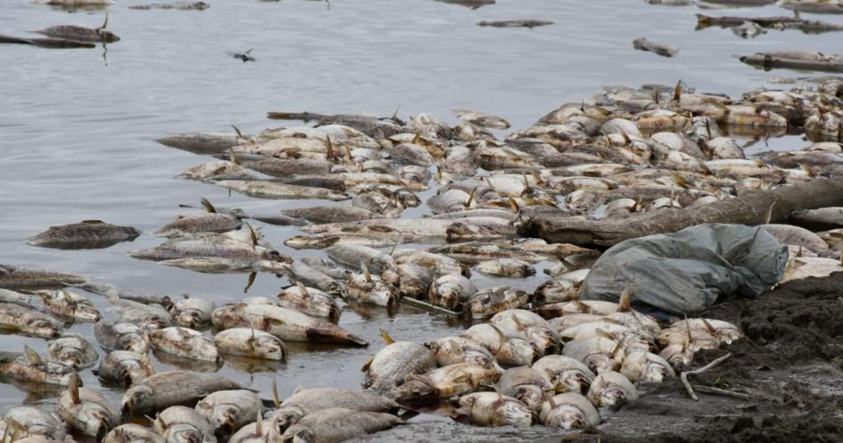 Contaminacioacuten- la Legislatura de Tucumaacuten citaraacute a Montalvaacuten