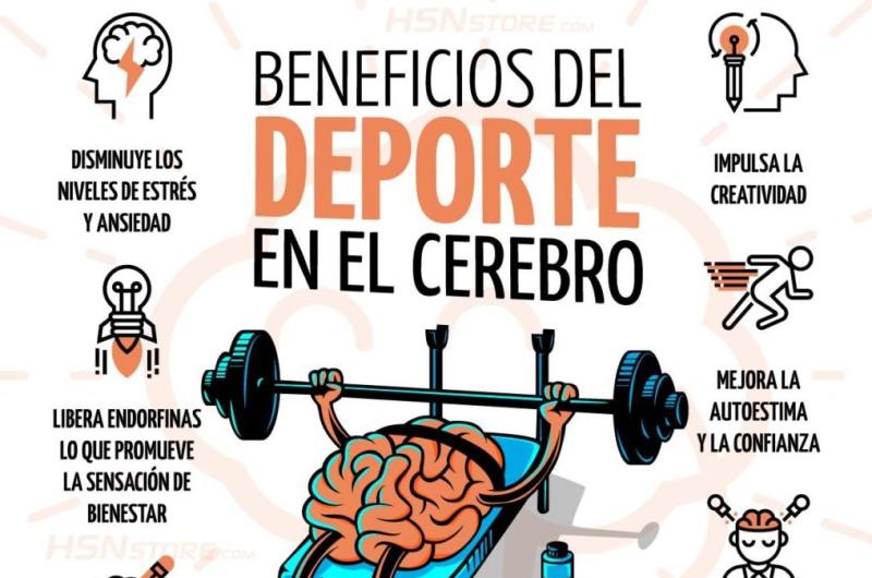 La actividad fiacutesica ayudariacutea a prevenir la neurodegeneracioacuten