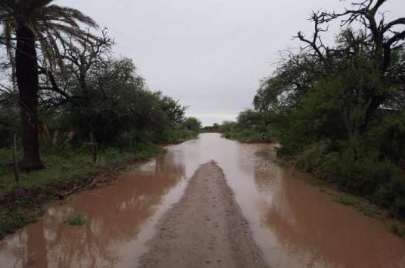 La abundante lluvia que se registra en nuestra provincia genera esperanzas en la produccioacuten