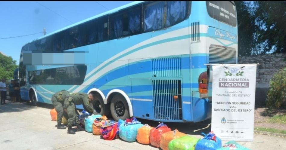 Descubren cargamento de hojas de coca en la bodega de un colectivo