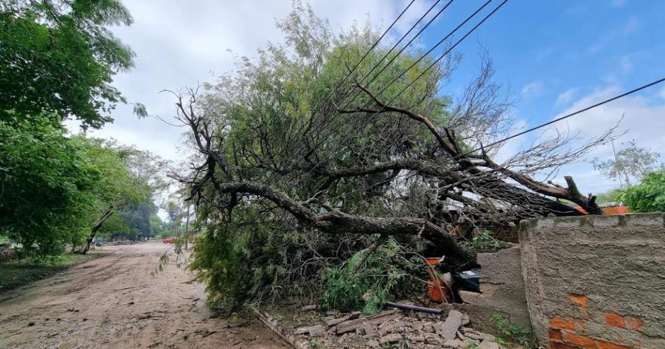 Llegoacute el cambioacute- Clodomira fue sorprendida por una fuerte tormenta que provocoacute importantes dantildeos