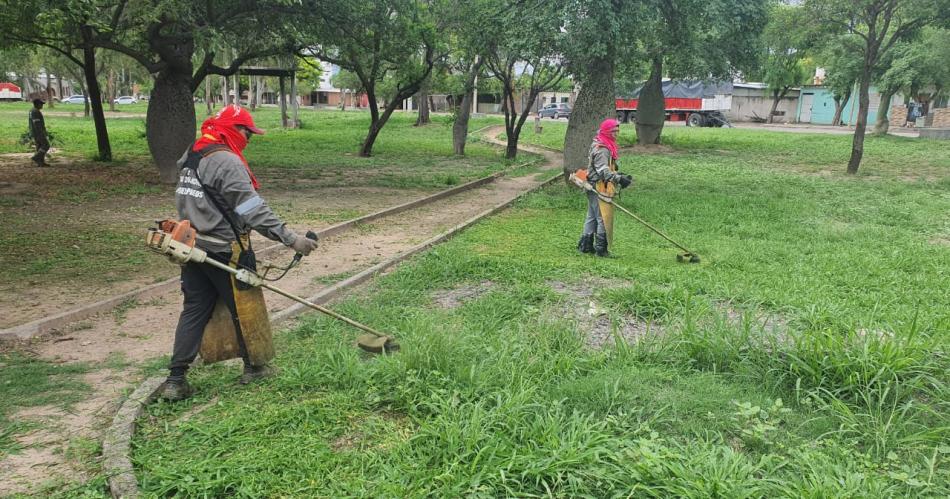 Obreros termentildeos realizan trabajos de desmalezamiento en la ciudad