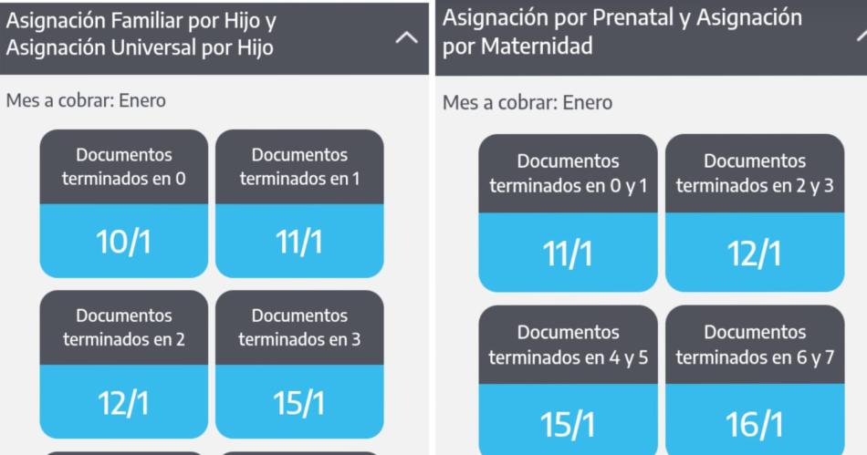 La Anses  dio a conocer las fechas del pago de las distintas prestaciones el proacuteximo mes