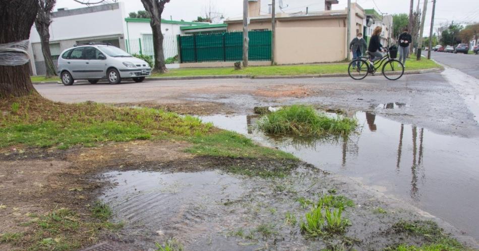Horror en Quimiliacute- menor encontroacute a un hombre sin vida en medio de un charco