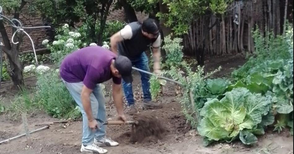 La Municipalidad de Friacuteas impulsa la creacioacuten de huertas domiciliarias