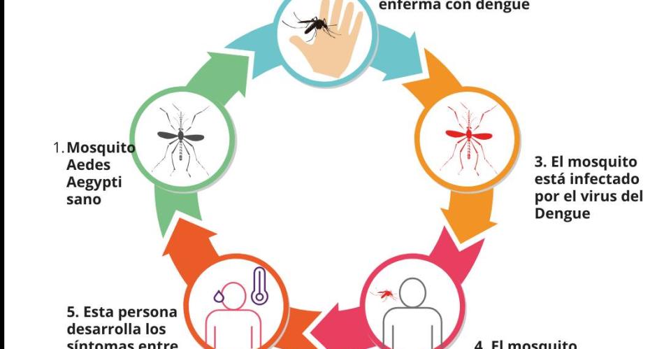 El dengue avanza- coacutemo hacerle frente a este problema