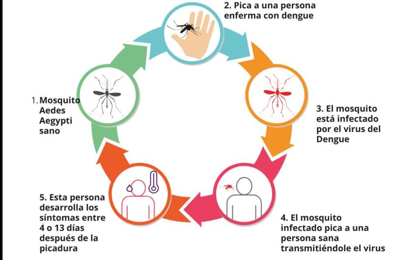 El dengue avanza- coacutemo hacerle frente a este problema