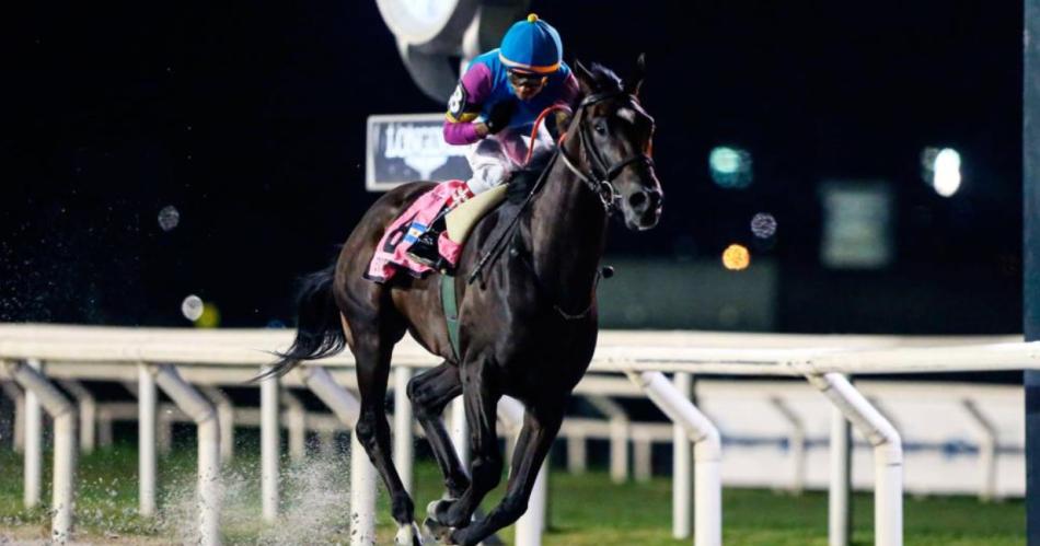 El caballo santiaguentildeo Ever Daddy ganoacute el Gran Premio Joseacute Ramiacuterez en Uruguay